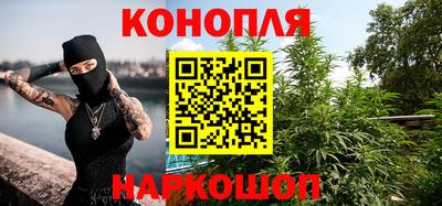 Альфа ПВП Новозыбков