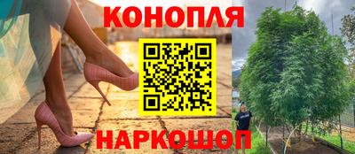 Альфа ПВП Новозыбков